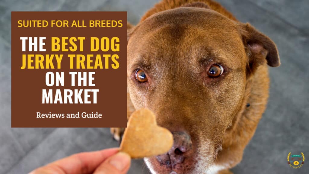 11 Best Dog Jerky Treats As Of 2024 | Reviews & Guide